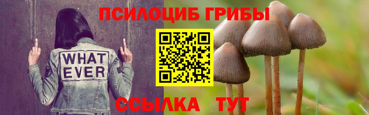 Галлюциногенные грибы ЛСД Тюмень