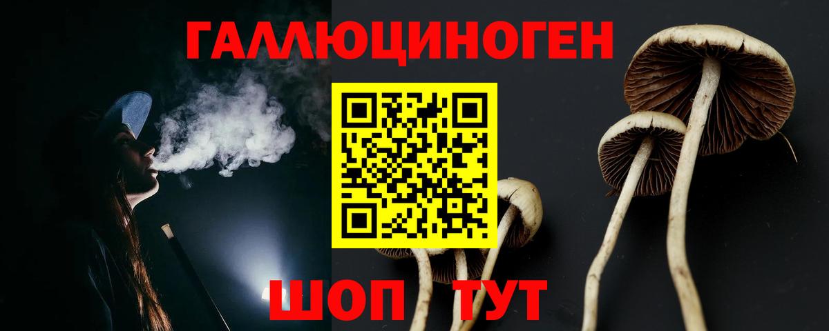 Тюмень  Галлюциногенные грибы GOLDEN TEACHER  как найти   Вход с VPN 